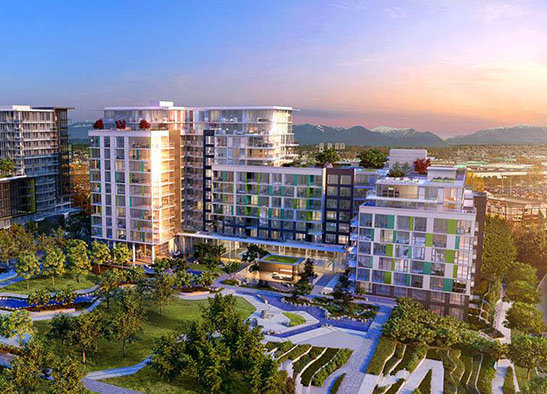 Concord Gardens Central Estates photo 4