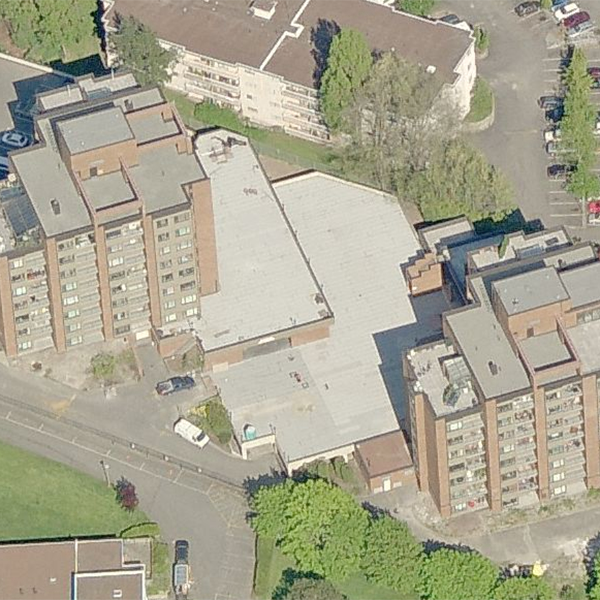 Treelane Estates photo 2