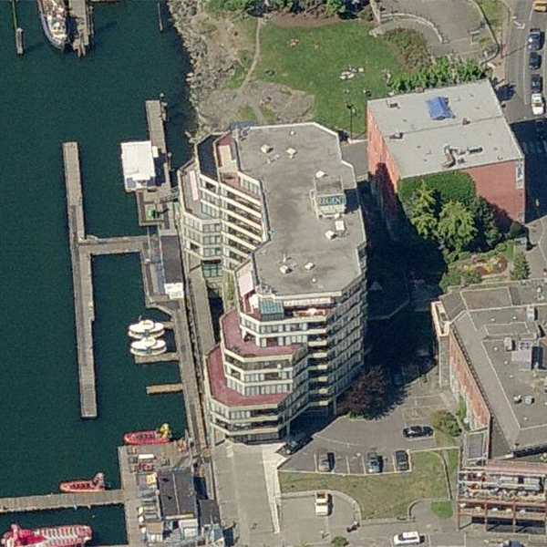 Victoria Regent photo 3