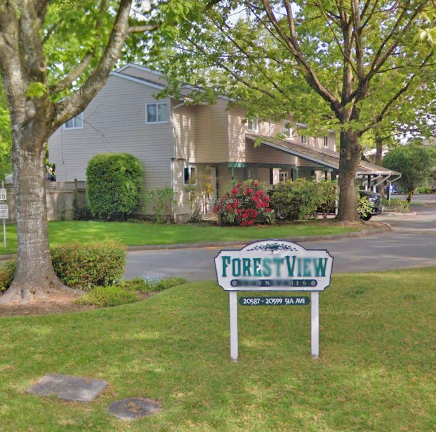Forest View