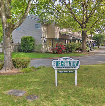 Forestview photo 2
