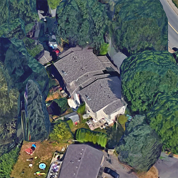 Forestview photo 4