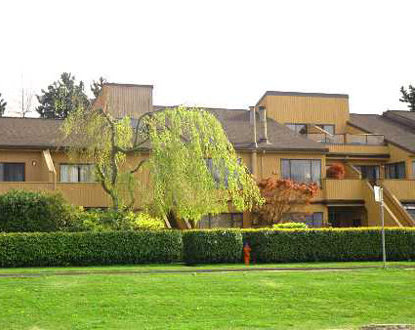 Marine Mews photo 3