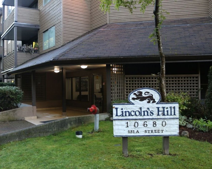 Lincoln's Hill photo 4