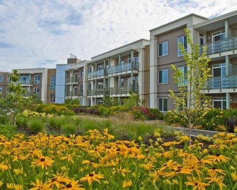 The Summit House at morgan Crossing photo 3