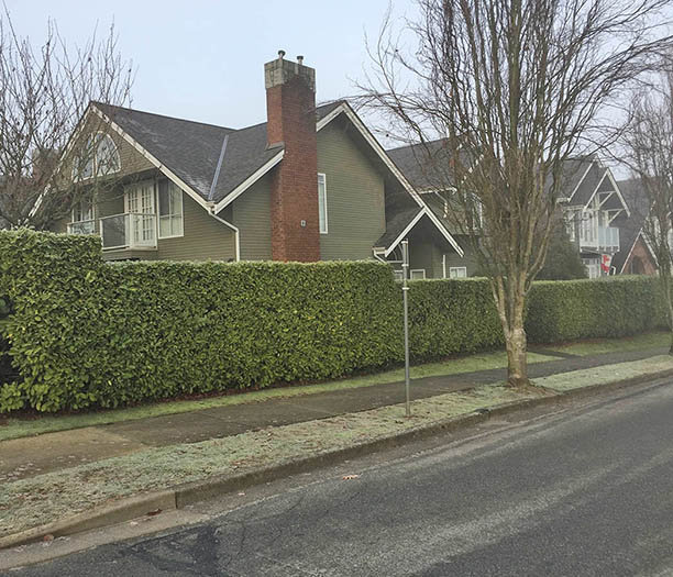 Grace Estate photo 4