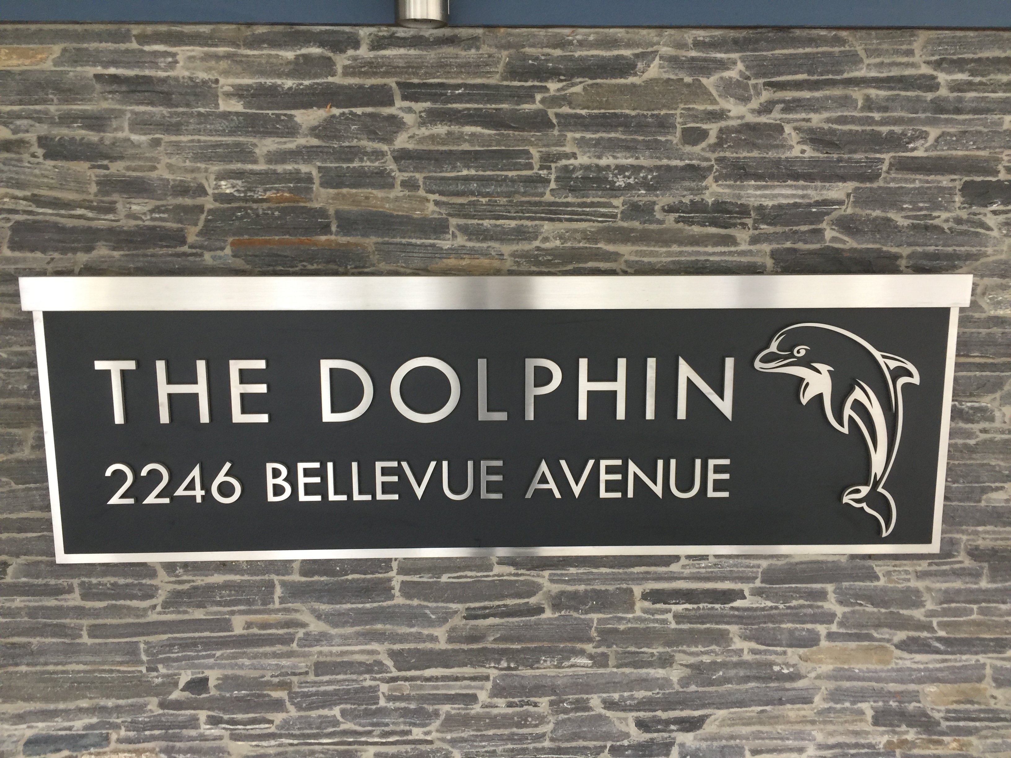 The Dolphin photo 2