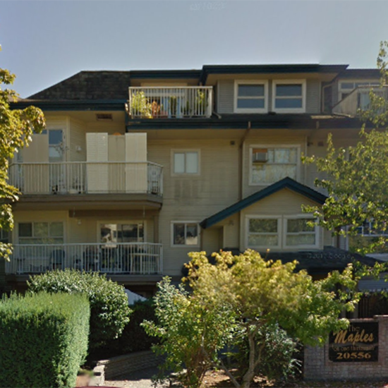 The Maples photo 3