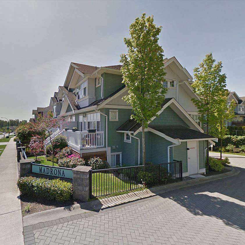 Madrona photo 4