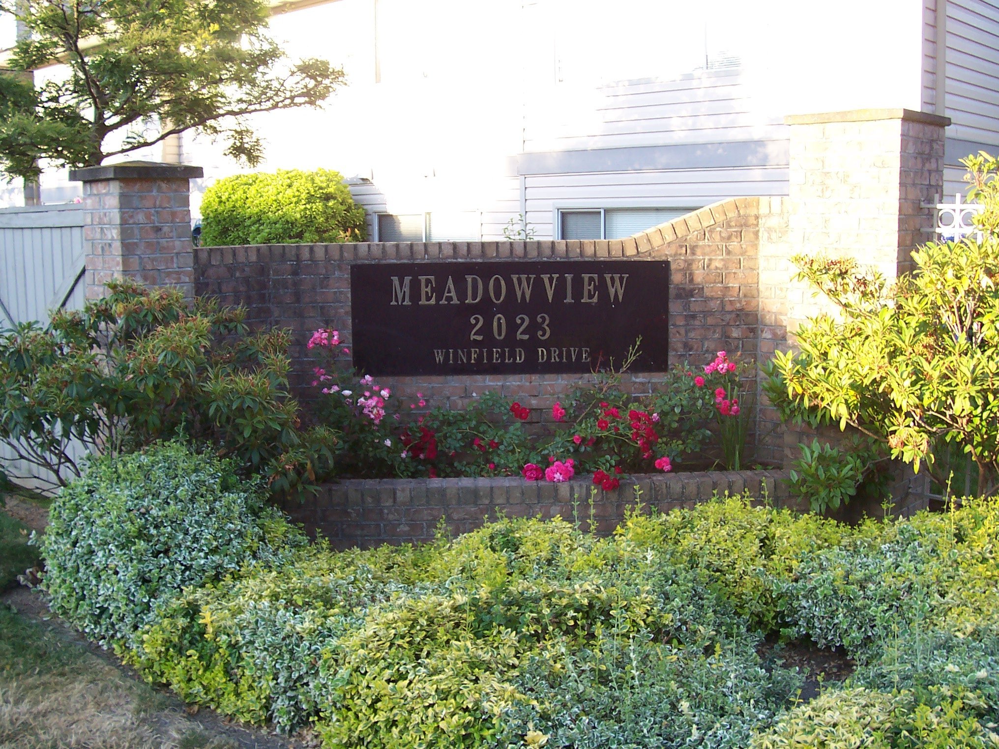 Meadow View