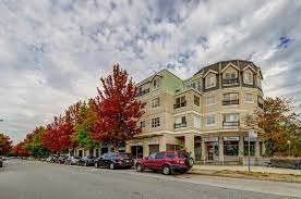 Harvard Place photo 3