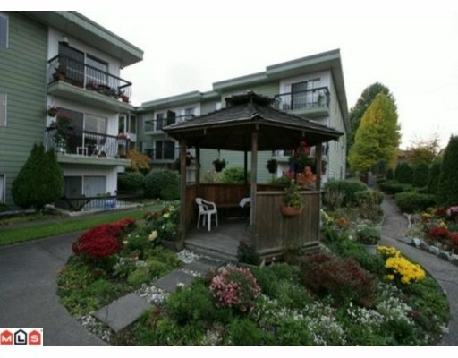 Delta Cedars photo 4