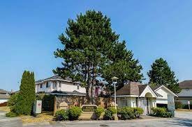 Alderbridge Estates photo 2