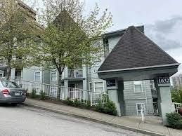 Queens Terrace photo 4