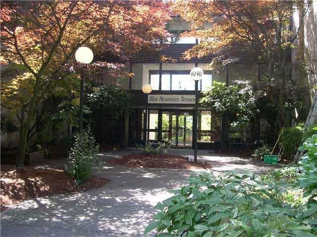 Blue Mountain Terrace photo 4