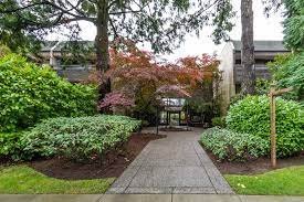 Blue Mountain Terrace photo 3