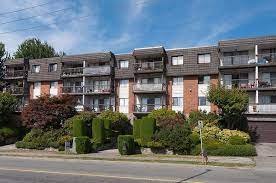 Mckinnon House photo 4