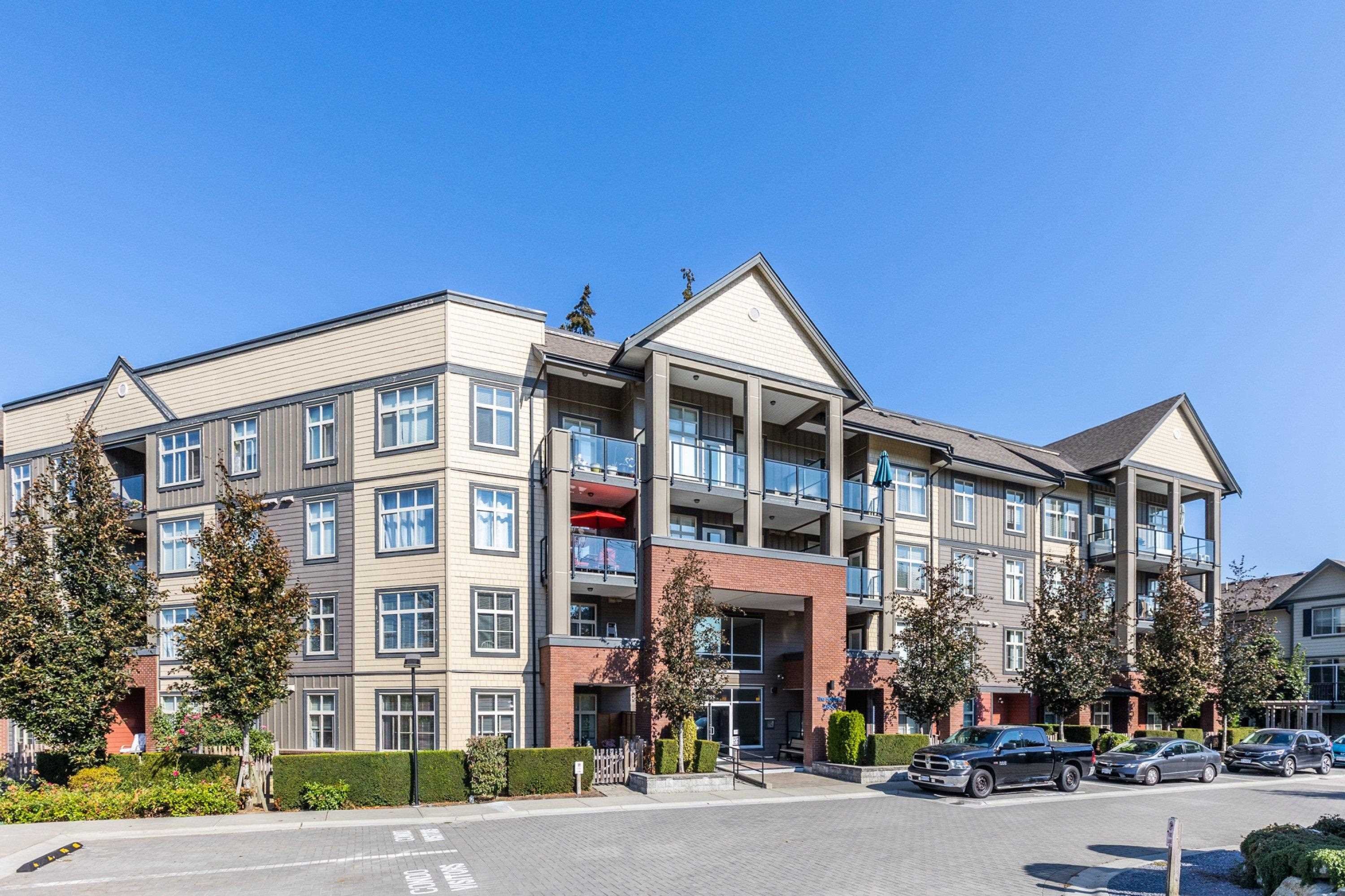 The Heights Condos By Lakewood photo 4
