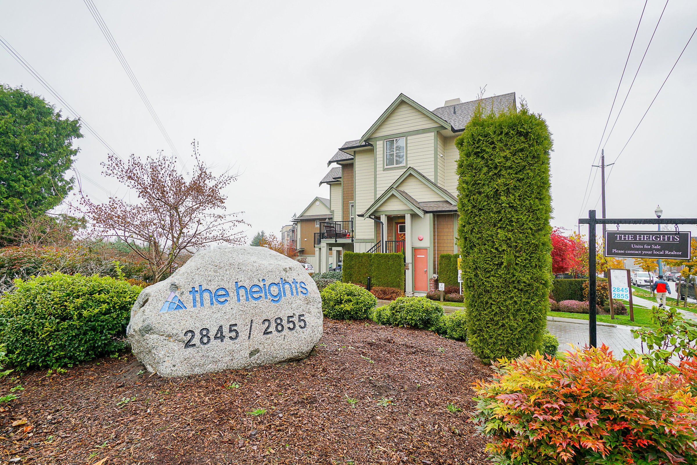 The Heights photo 2