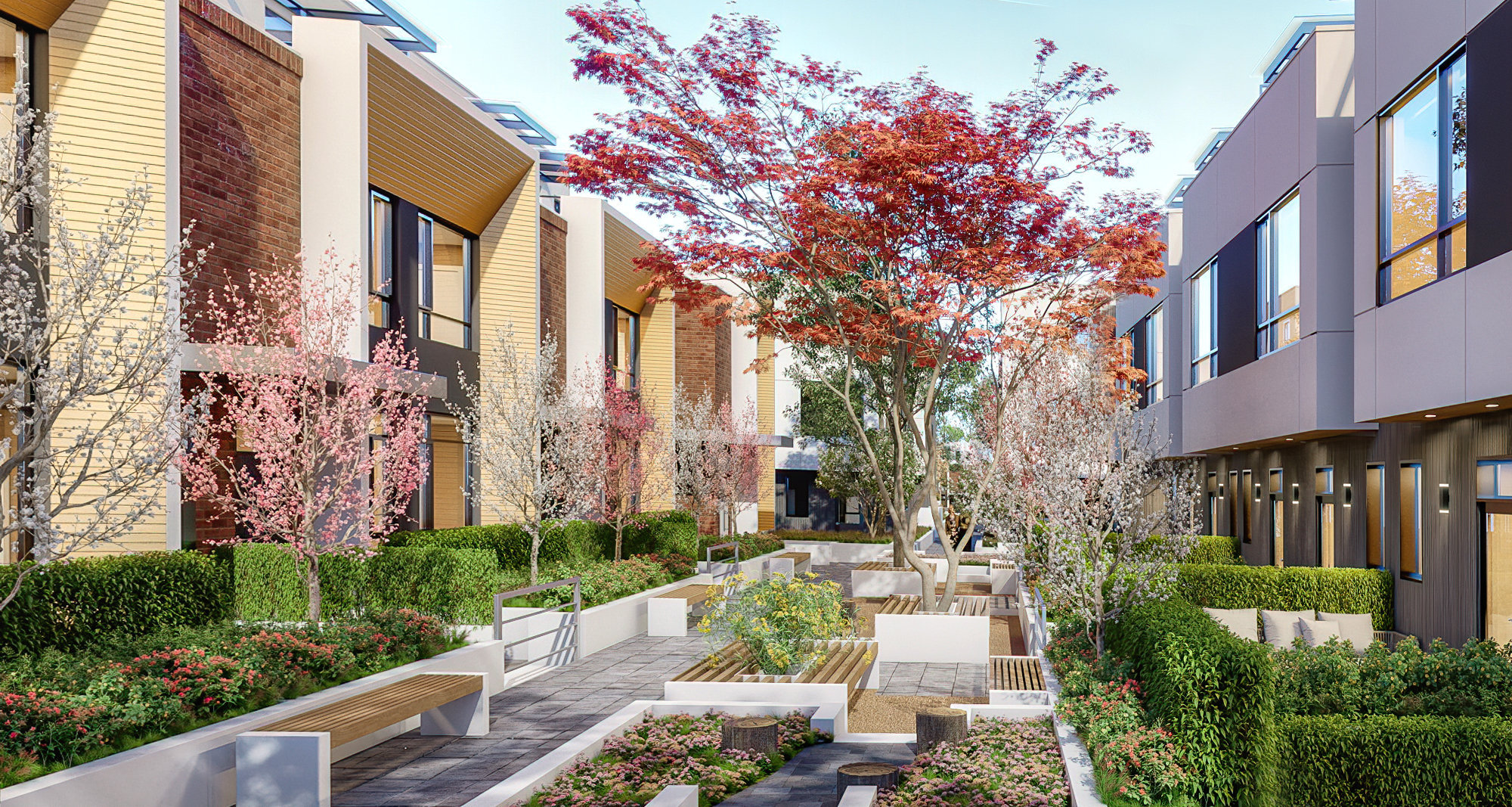 Photo 3 — click to view West Oak by Shokai photo 3
