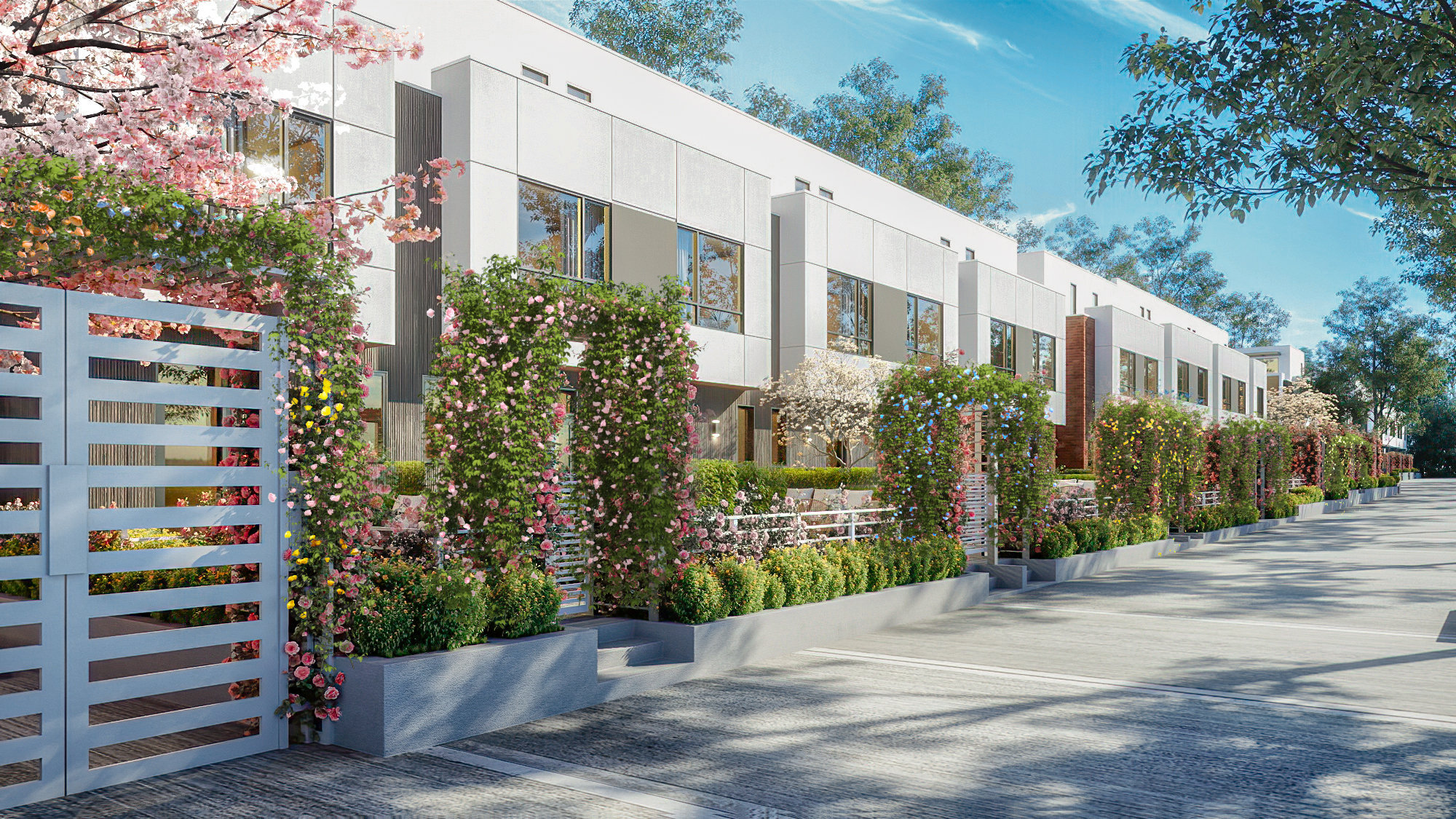 Photo 2 — click to view West Oak by Shokai photo 2
