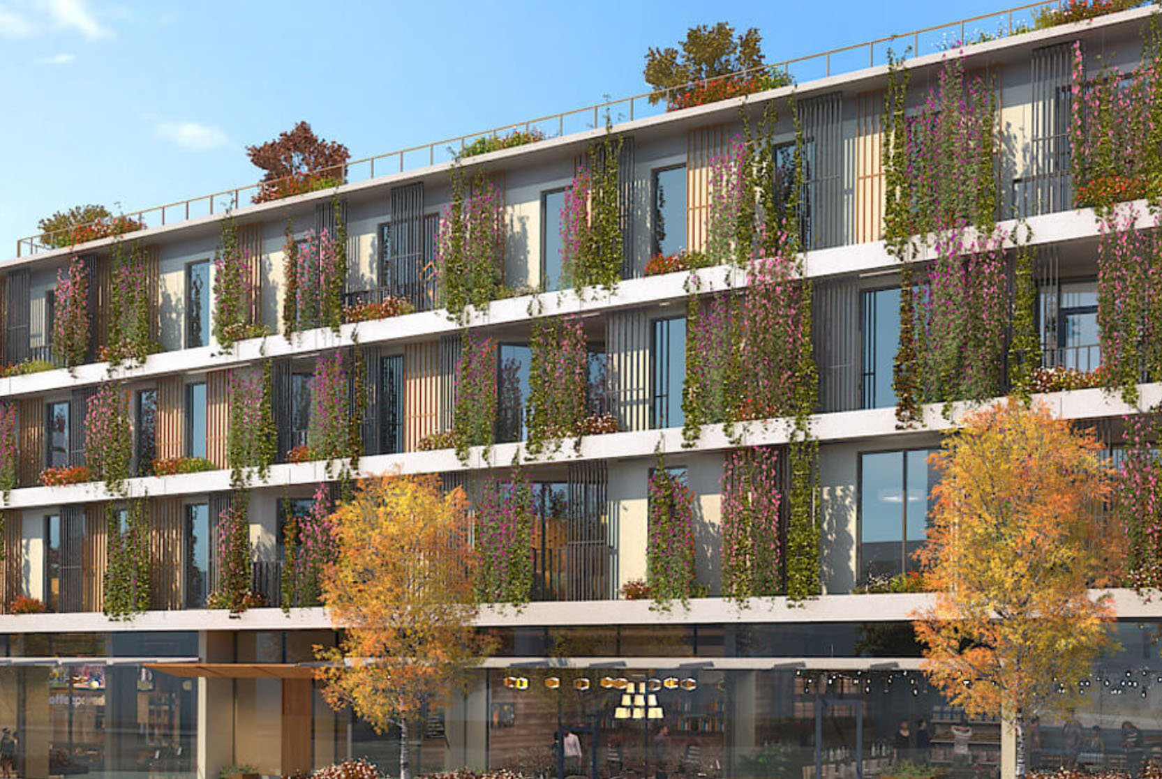 Arbutus photo 3