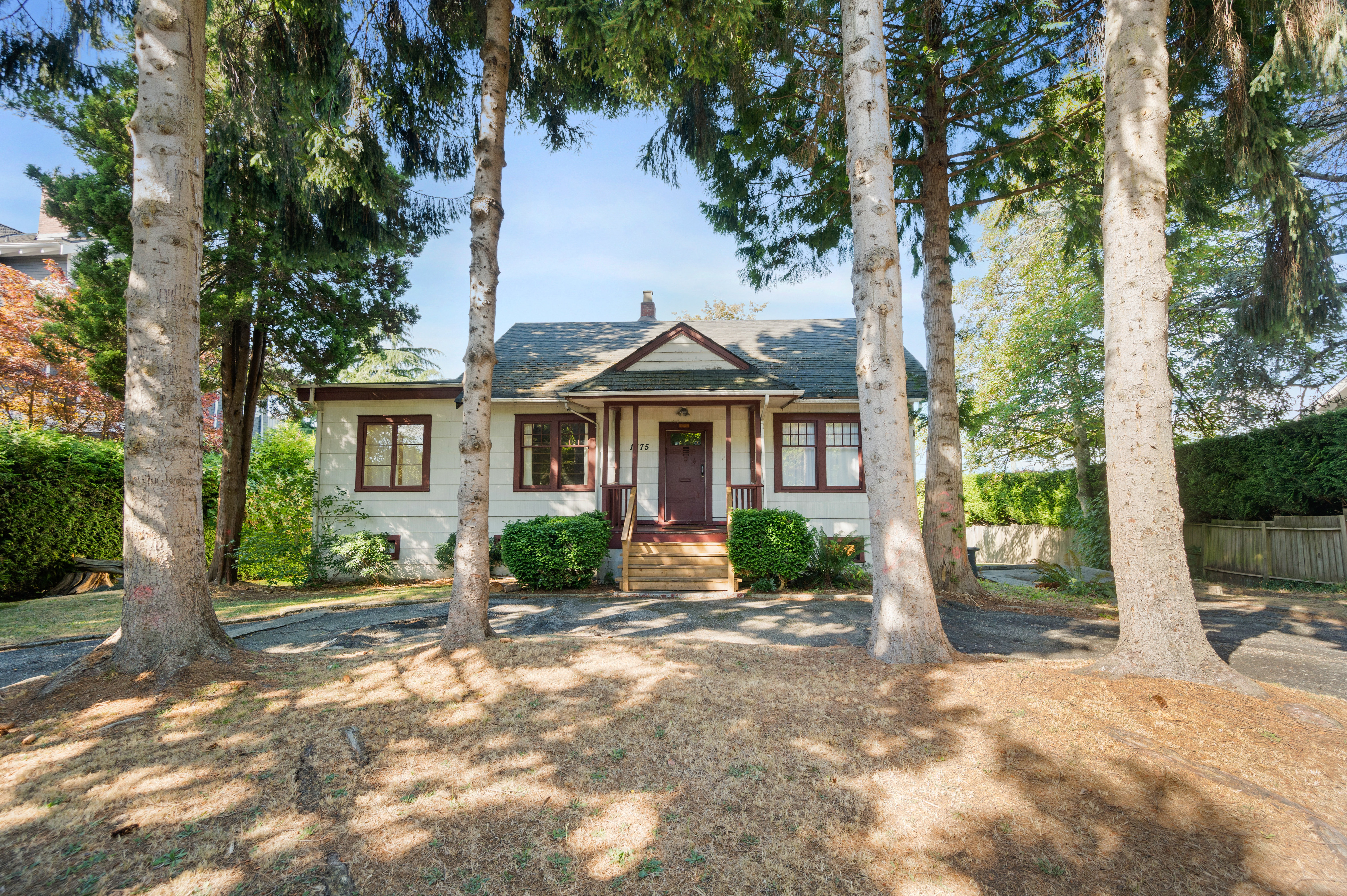 1775 Cedar photo 2
