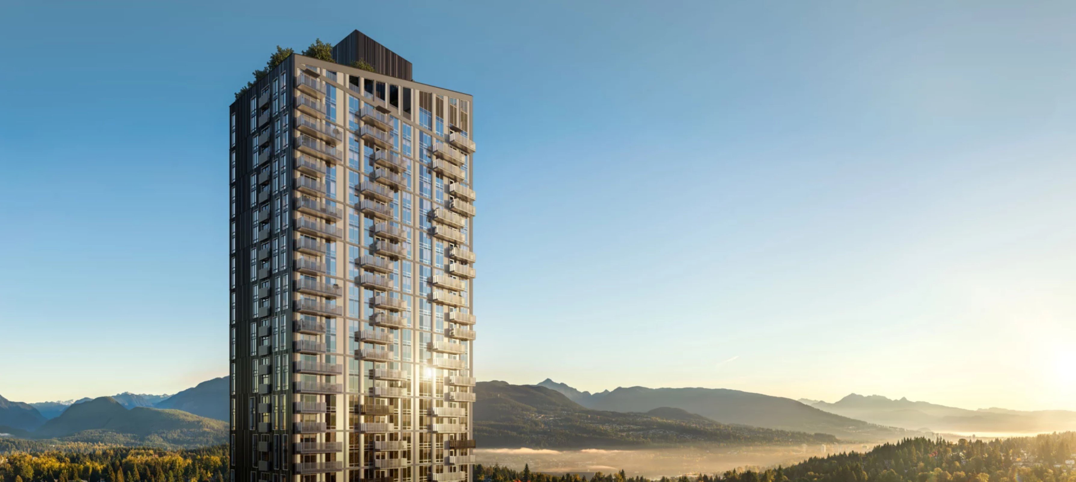 Olo by Rize Alliance Properties photo 3