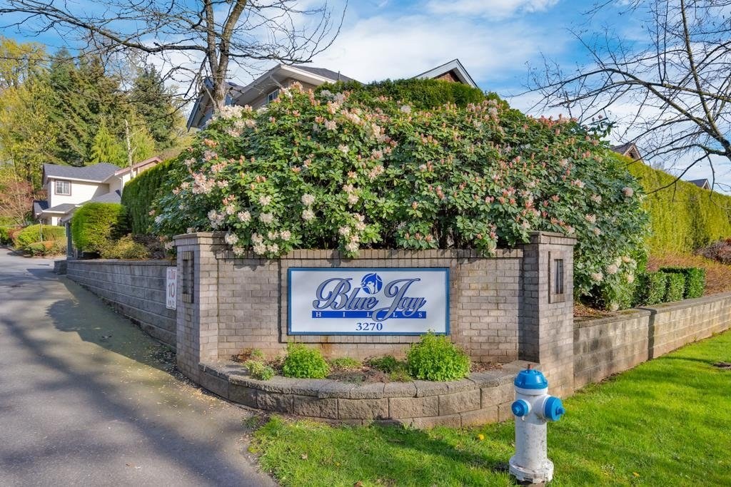 Blue Jay Hills
