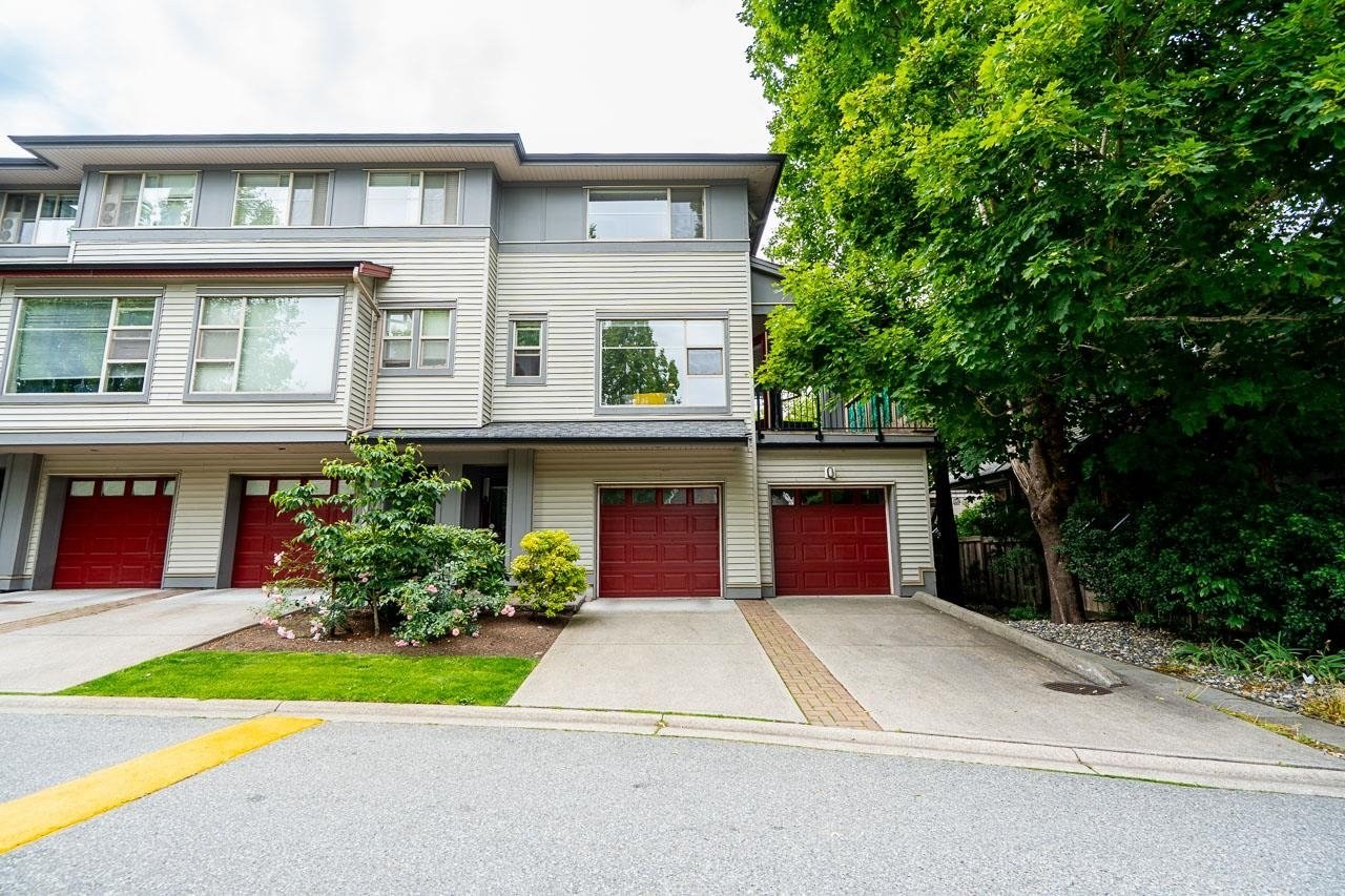 Chestnut