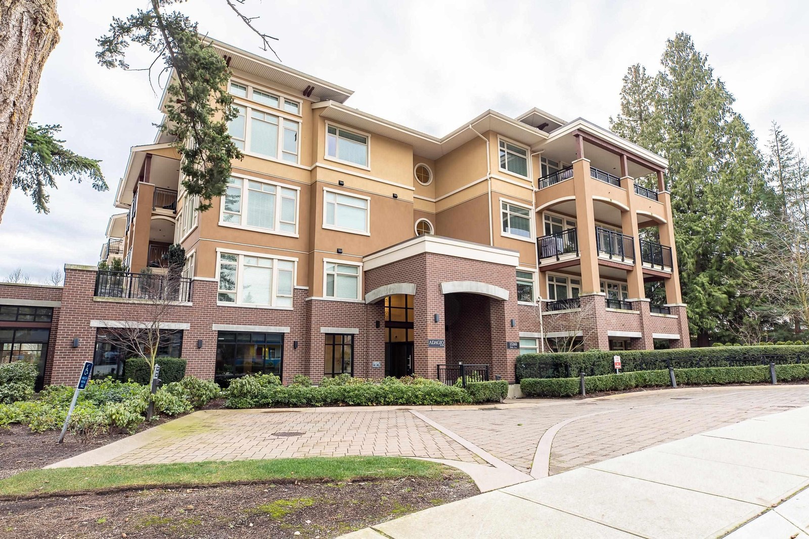 Cedar Lane