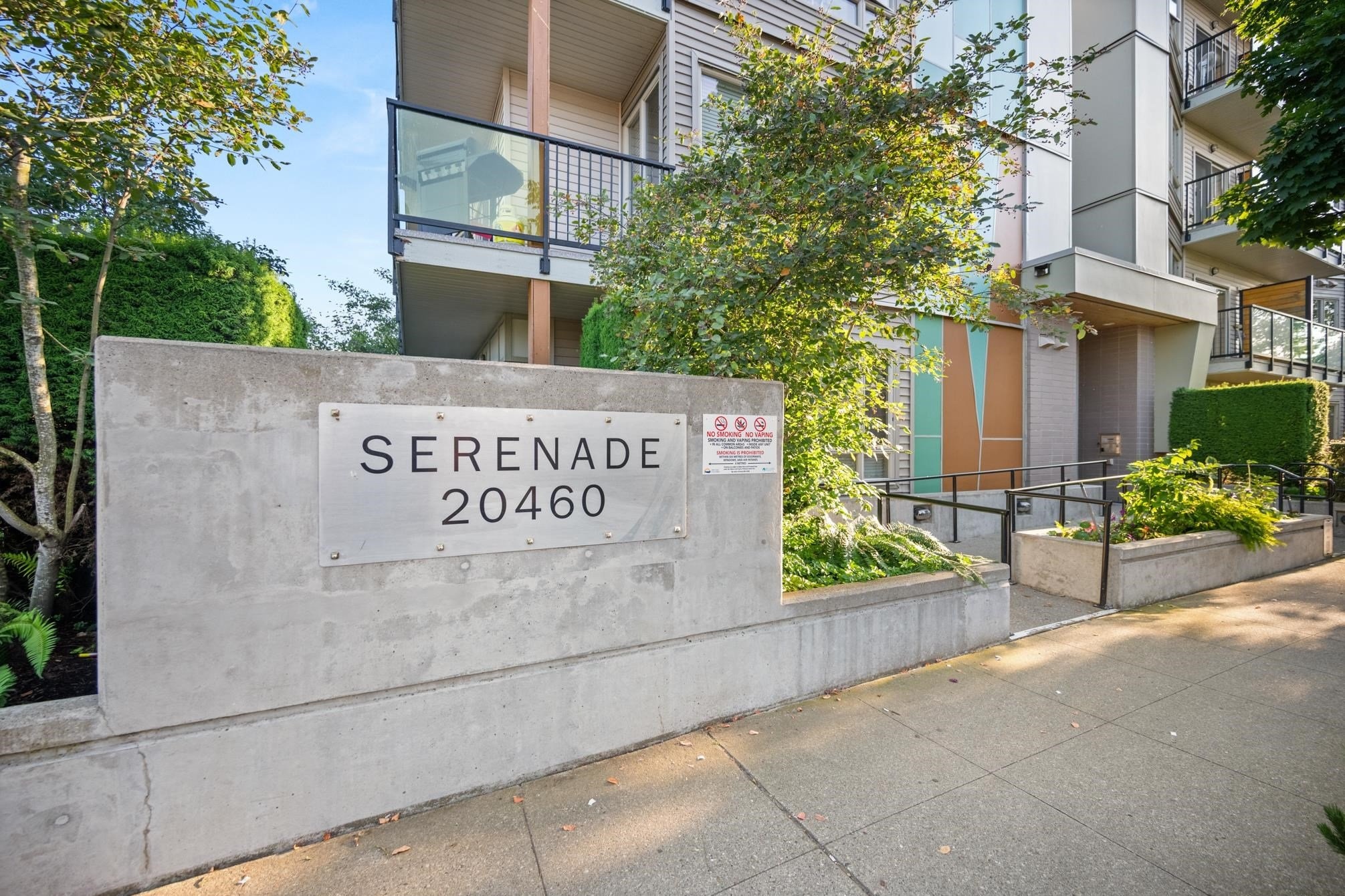 Photo 3 — click to view Serenade photo 3